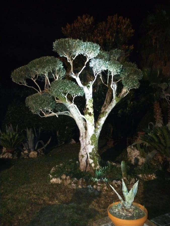 B&B Il Giardino Di Eolo Pietramelara Extérieur photo