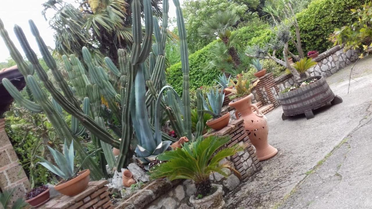 B&B Il Giardino Di Eolo Pietramelara Extérieur photo